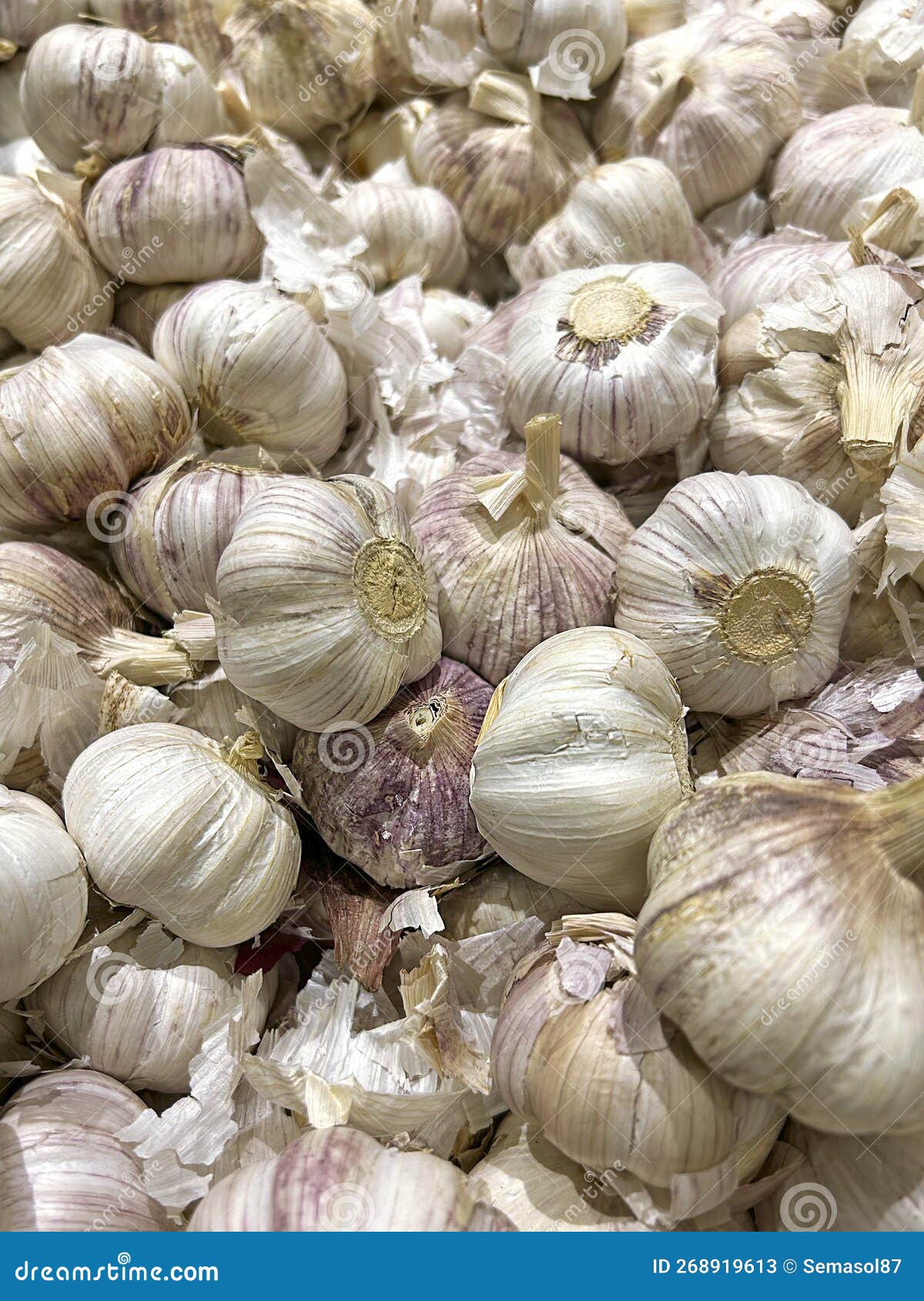 Garlic in the Store. Lots of White Garlic Cloves Stock Image Image of