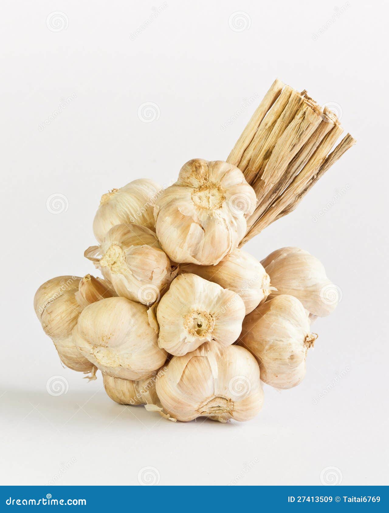 Garlic on a table stock image. Image of garlic, underground 27413509