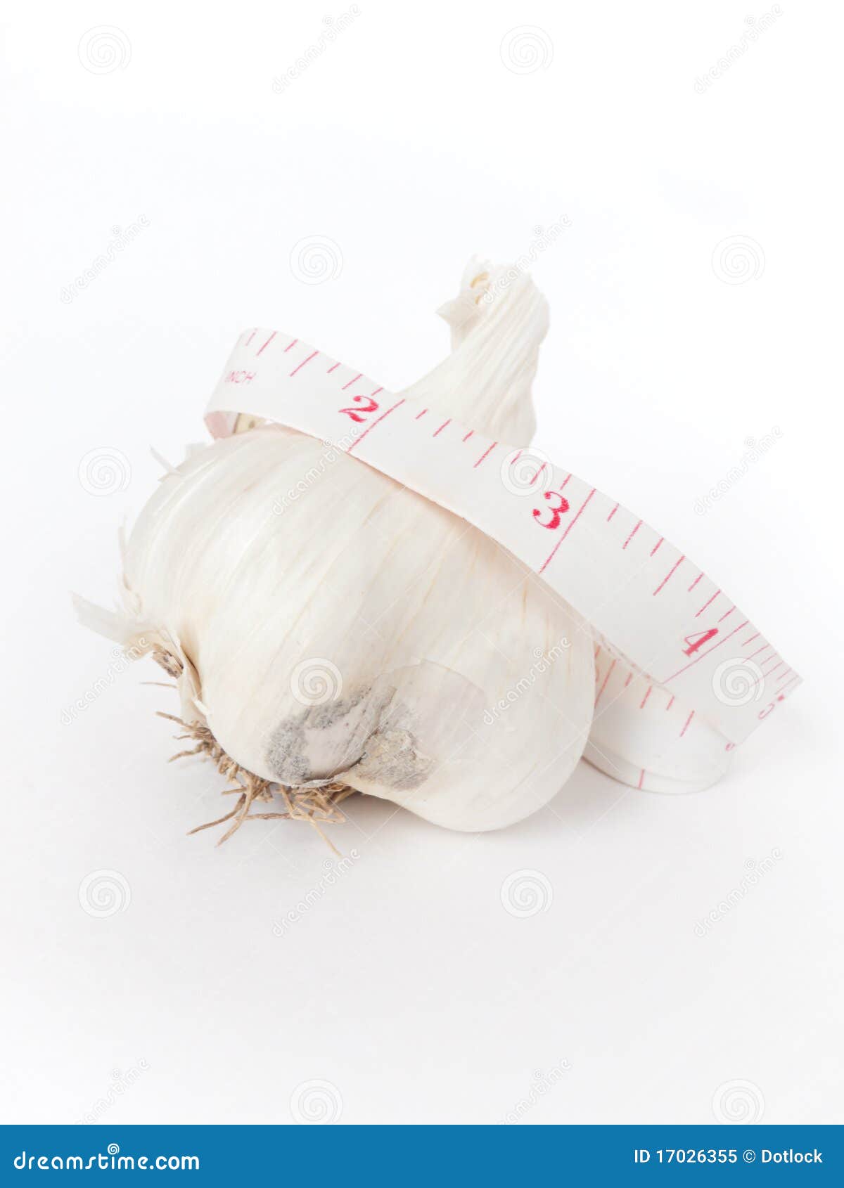 Garlic with Tape Measure stock image. Image of benefits 17026355