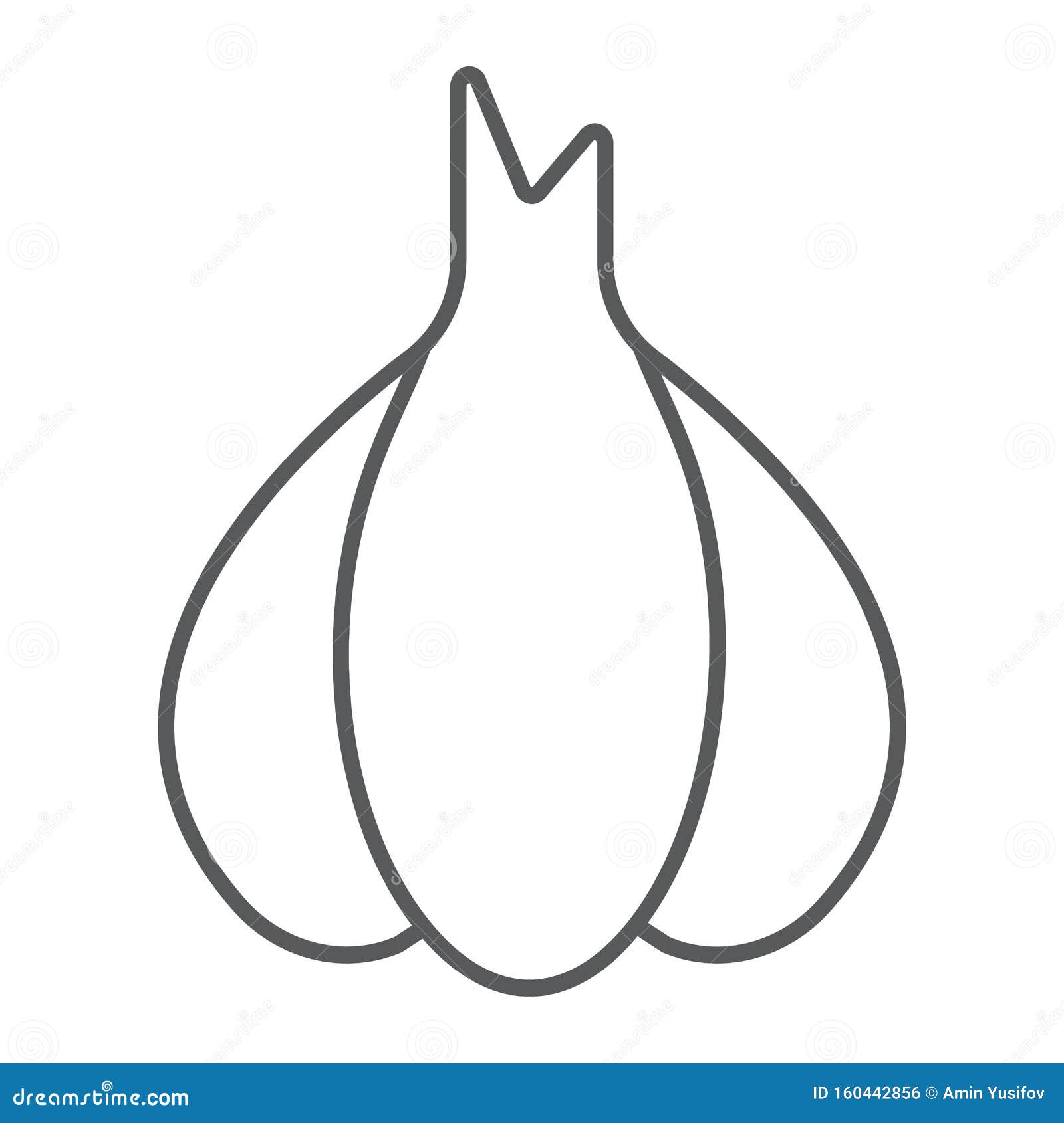 garlic thin line icon, pungent and vegetable, clove sign,  graphics, a linear pattern on a white backgrond.