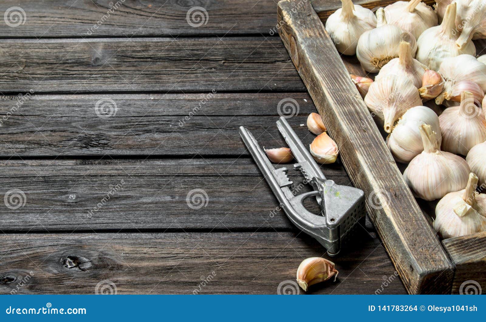 Garlic in Tray and Garlic Press Stock Photo Image of cooking, plant