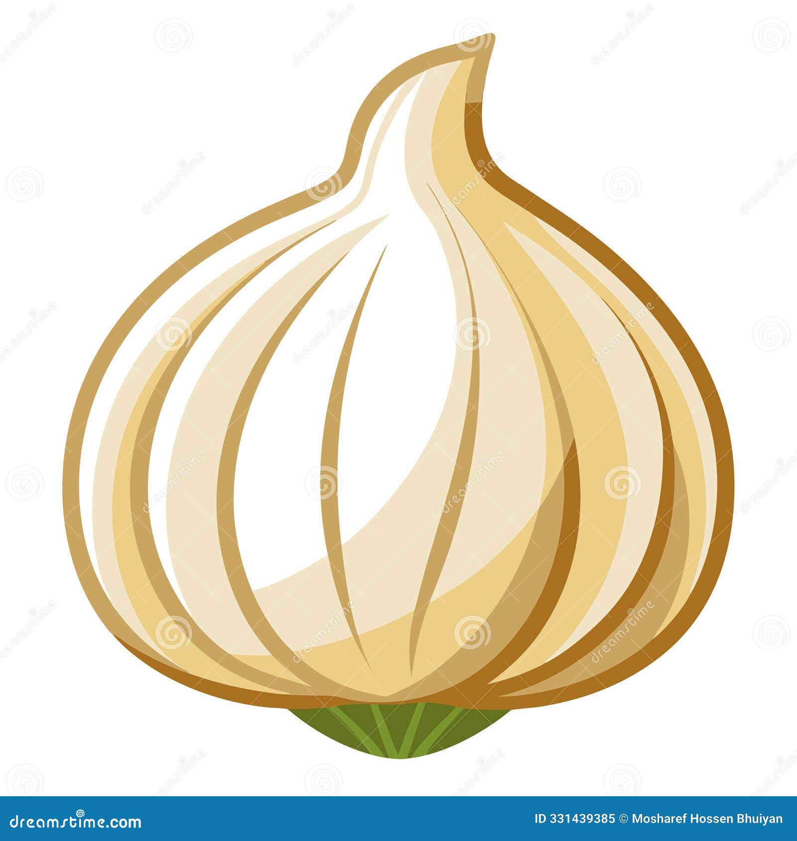 garlic   high-quality graphic  for culinary