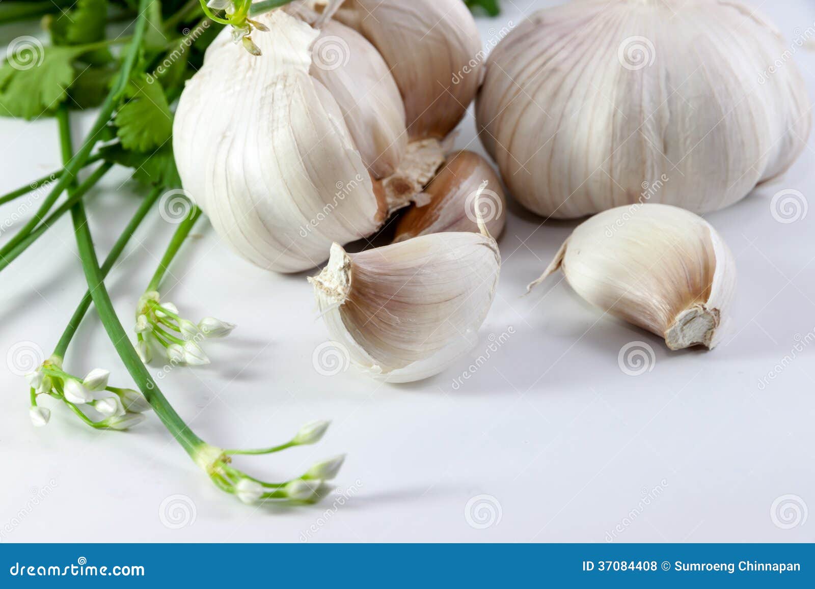 Garlic and vegetable stock photo. Image of potherbs, organic 37084408