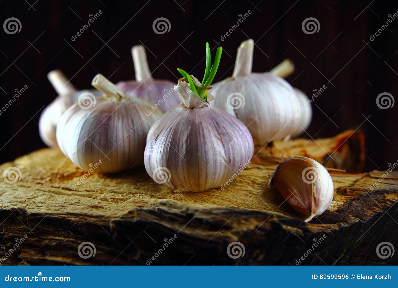 Garlic Whole with the Sprout and a Clove of Garlic Stock Photo Image