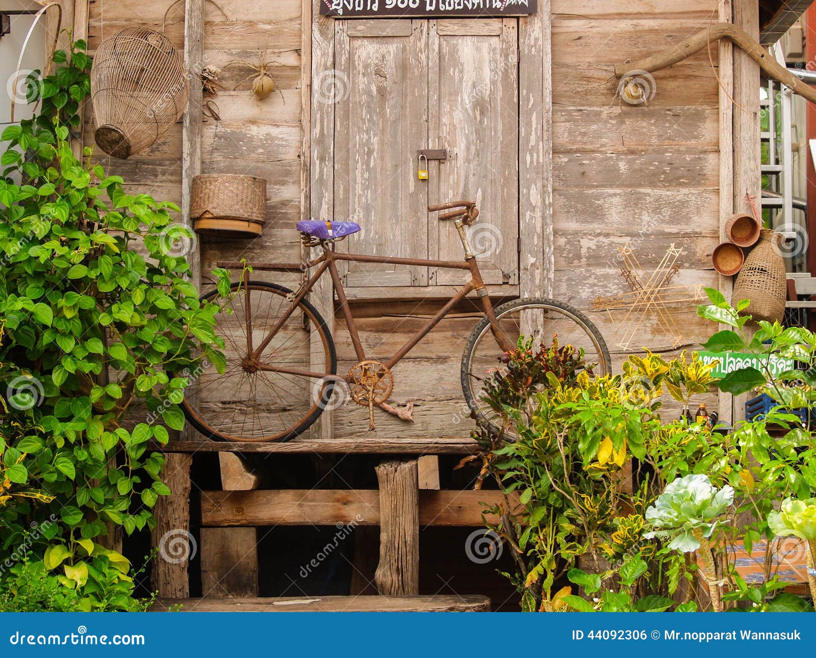 Garner Thailand stock photo. Image of home, foods, loei - 44092306