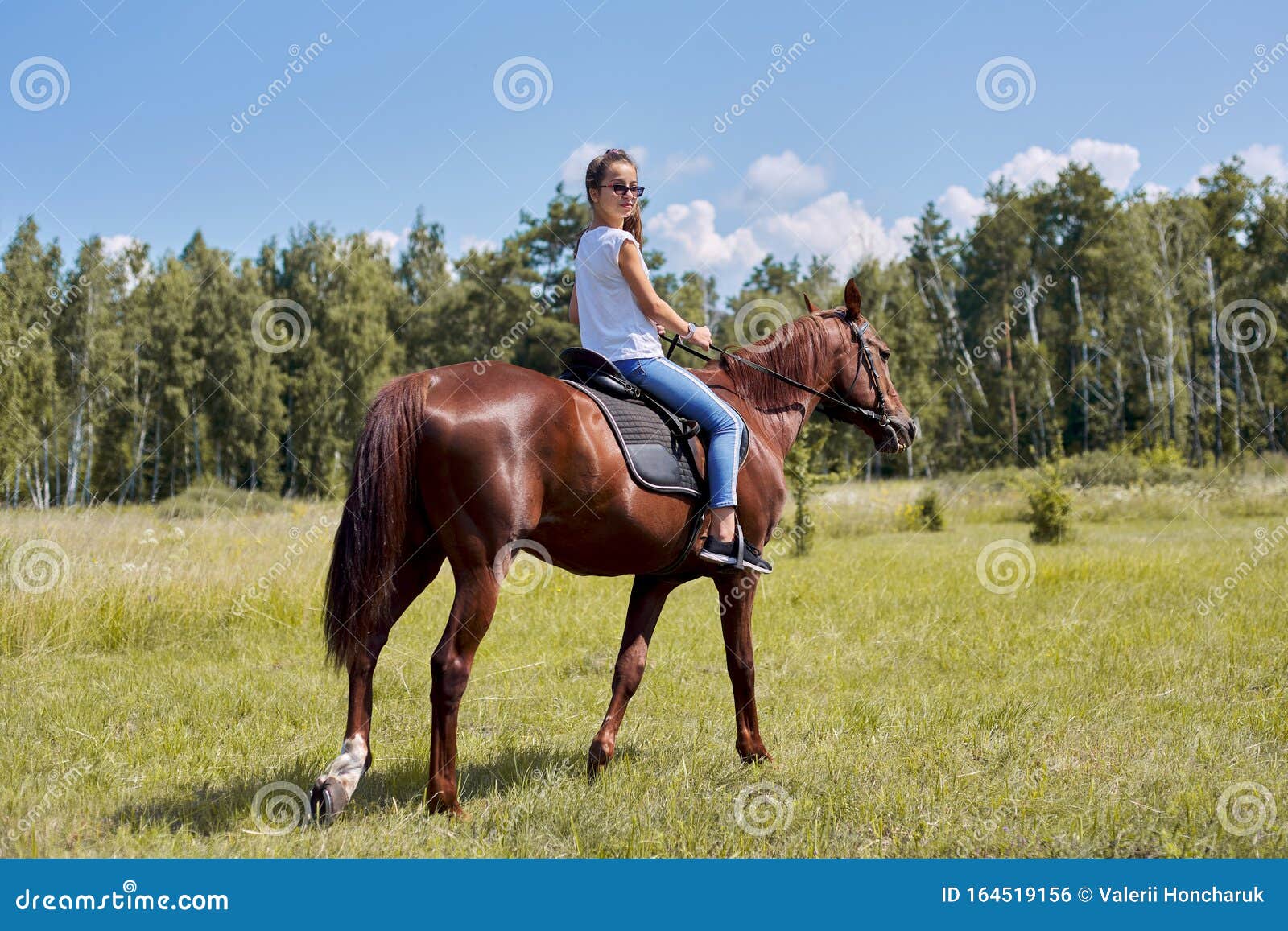 Mulher Cavaleira Cavalgando a Cavalo Marrom E Pulando a Cerca Na Arena De  Sandy Parkour Aperfeiçoamento Profissional Competitivo Imagem de Stock -  Imagem de fêmea, marrom: 165294797