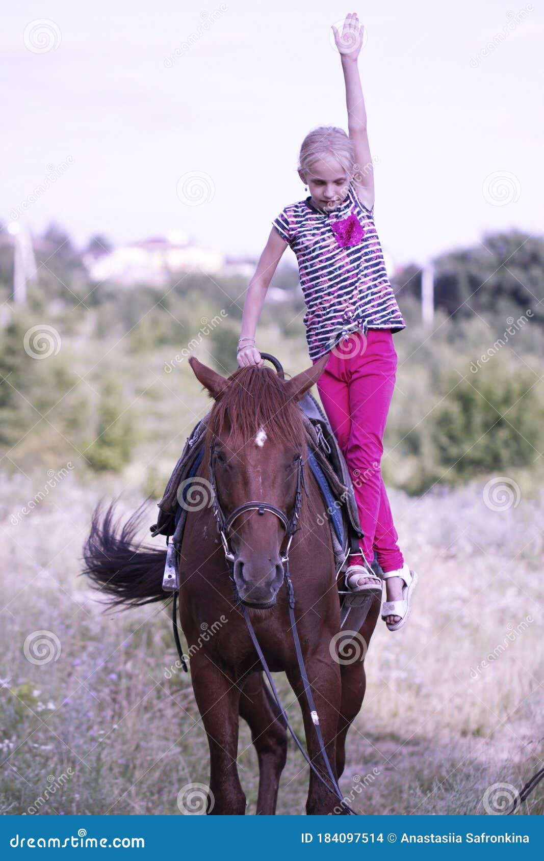 Mulher Bonita Sorrindo Em Frente Ao Cavalo No Pôr Do Sol Imagem de