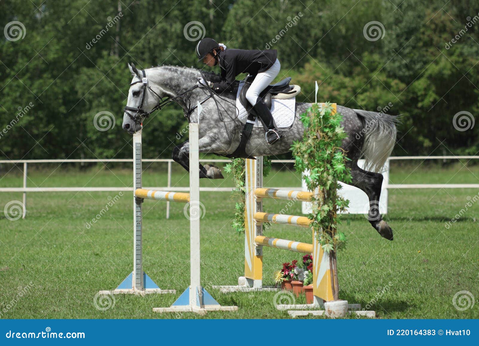 Jockey Com Seu Cavalo Pulando Sobre Um Obstáculo Pulando Sobre O