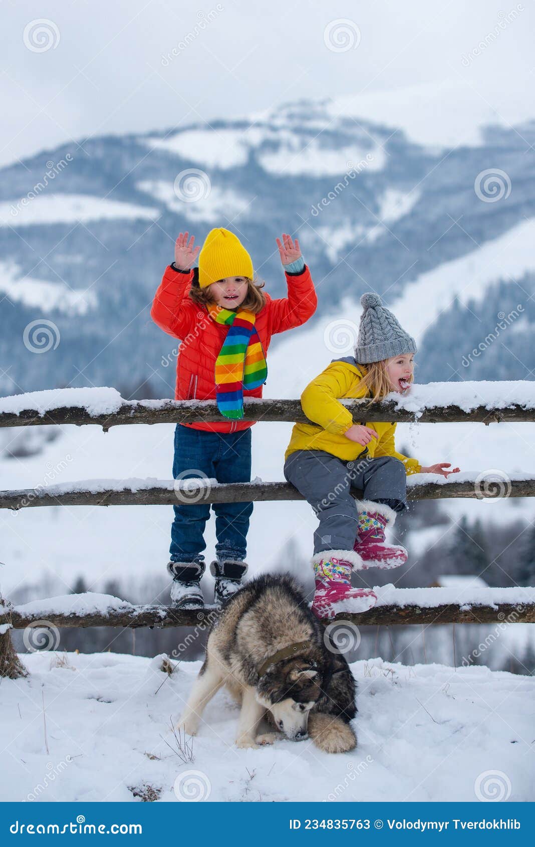 Engraçado menina criança brincando em bolas de neve. inverno jogo de  inverno para crianças. criança se divertindo na época do natal