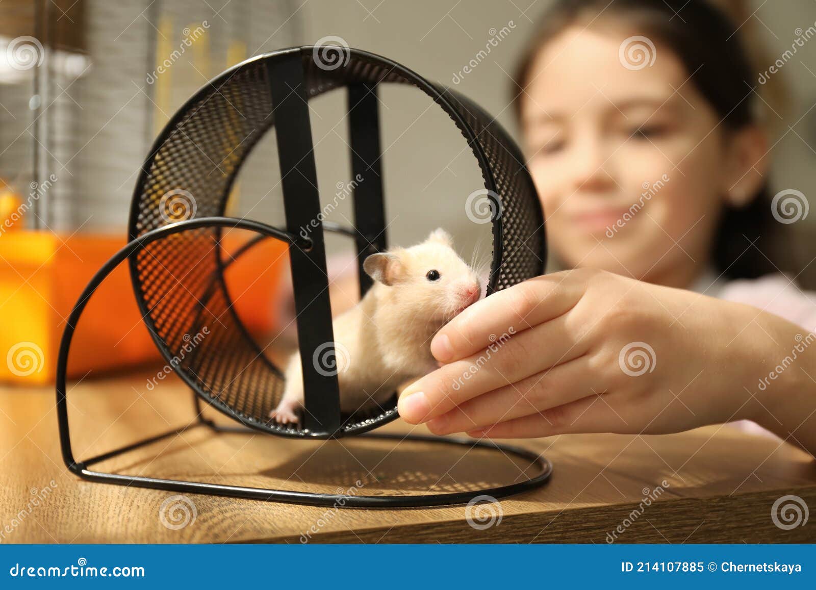 [Image: garotinha-observando-seu-hamster-tocando...107885.jpg]