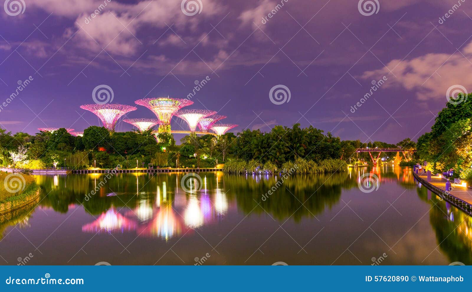 Garten durch den Schacht stockfoto. Bild von phasen