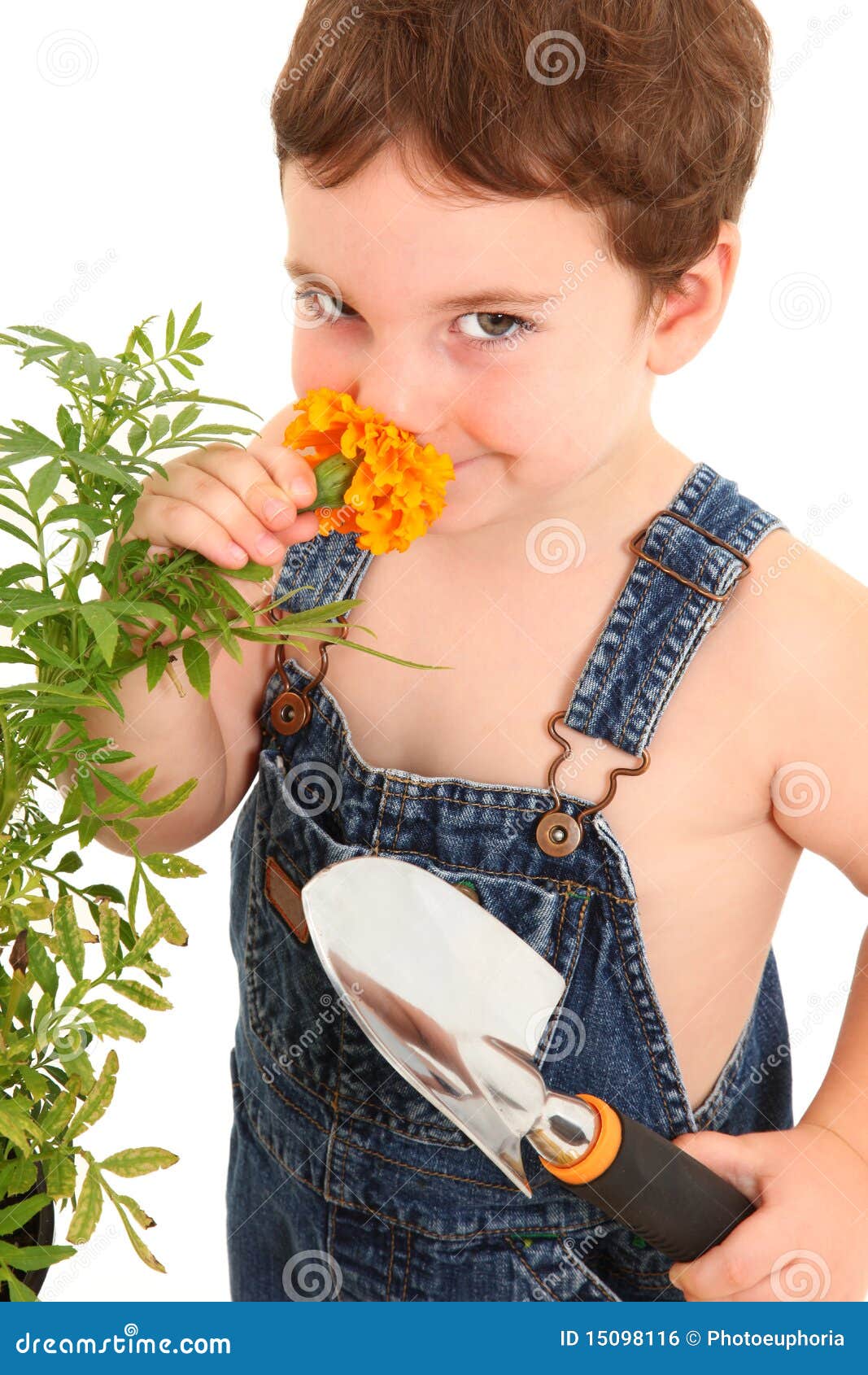 GartenJunge stockfoto. Bild von glücklich, denim, attraktiv 15098116