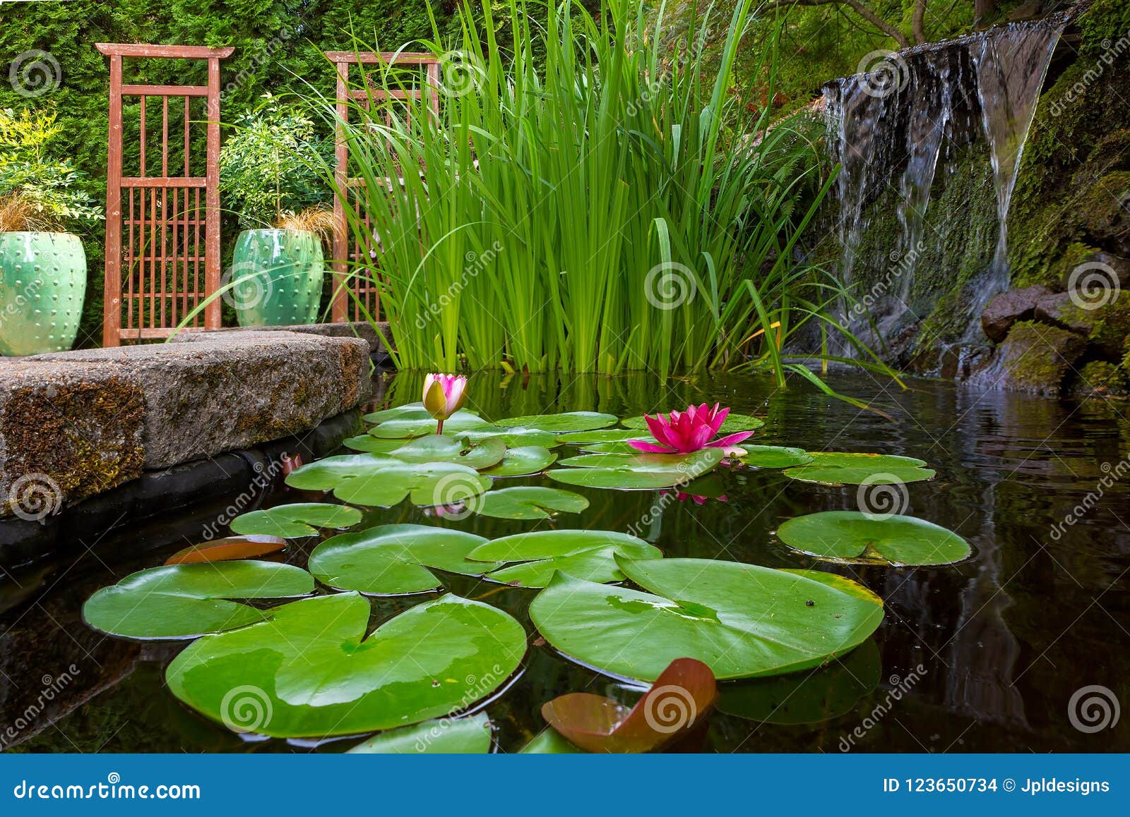 Garten Teich Mit Anlagen Und Wasserfall Im Hinterhof Stockfoto Bild Von Blute Haupt 123650734