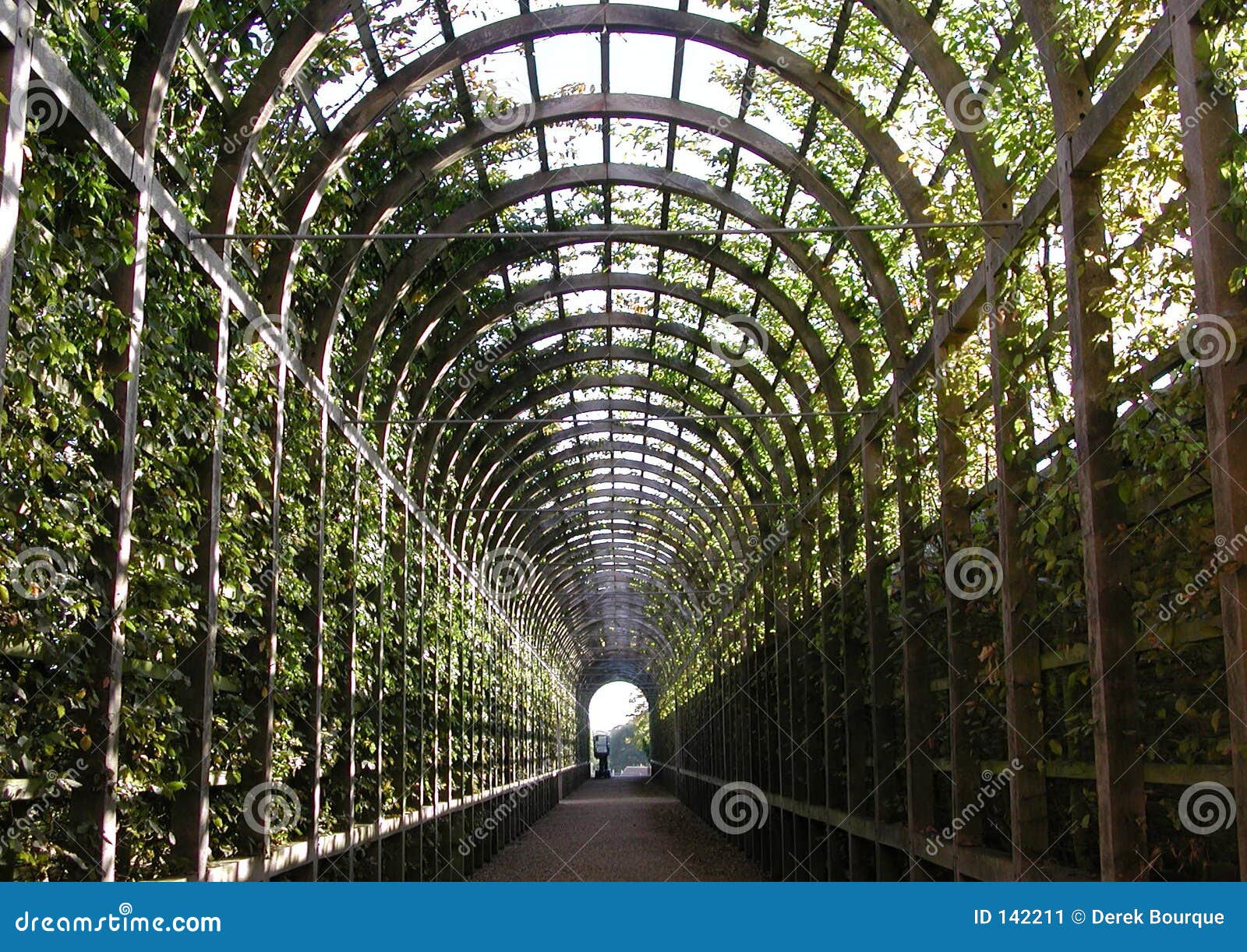 GartenTunnel stockbild. Bild von abgedeckt, halle, rebe 142211