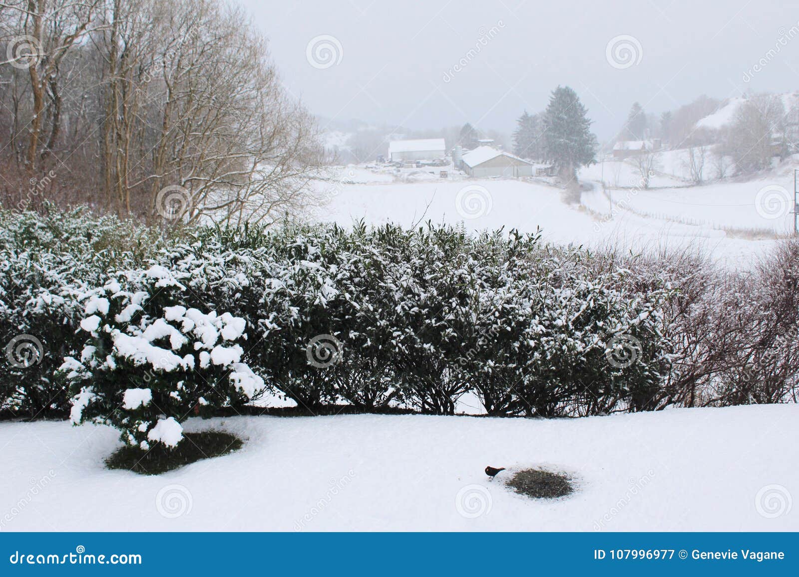 Gartenansicht über Winter. Genommen bei FinnÃ¸y, Rogaland, Norwegen