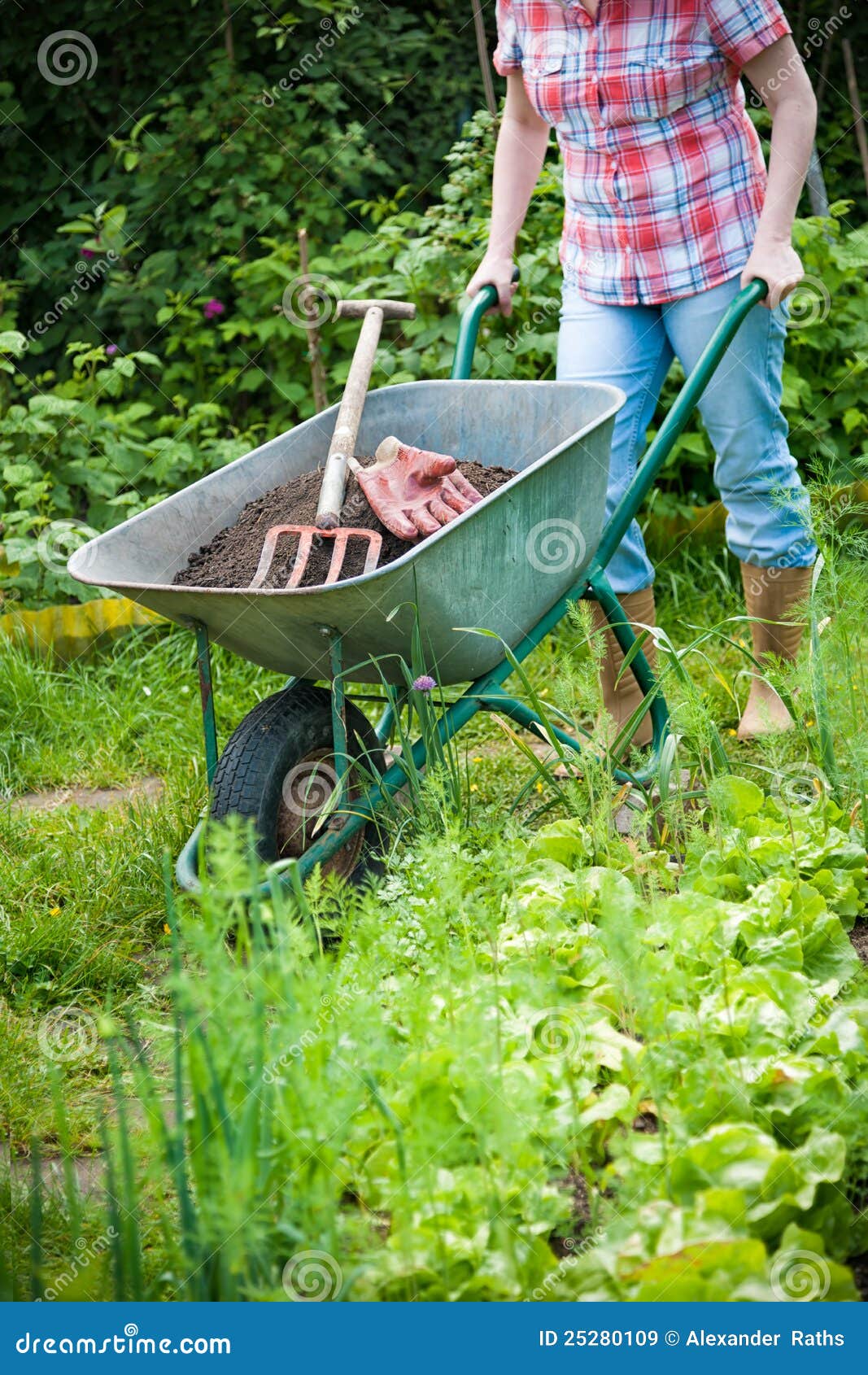 Gartenarbeit stockbild. Bild von gärtner, landschaftsgestaltung 25280109
