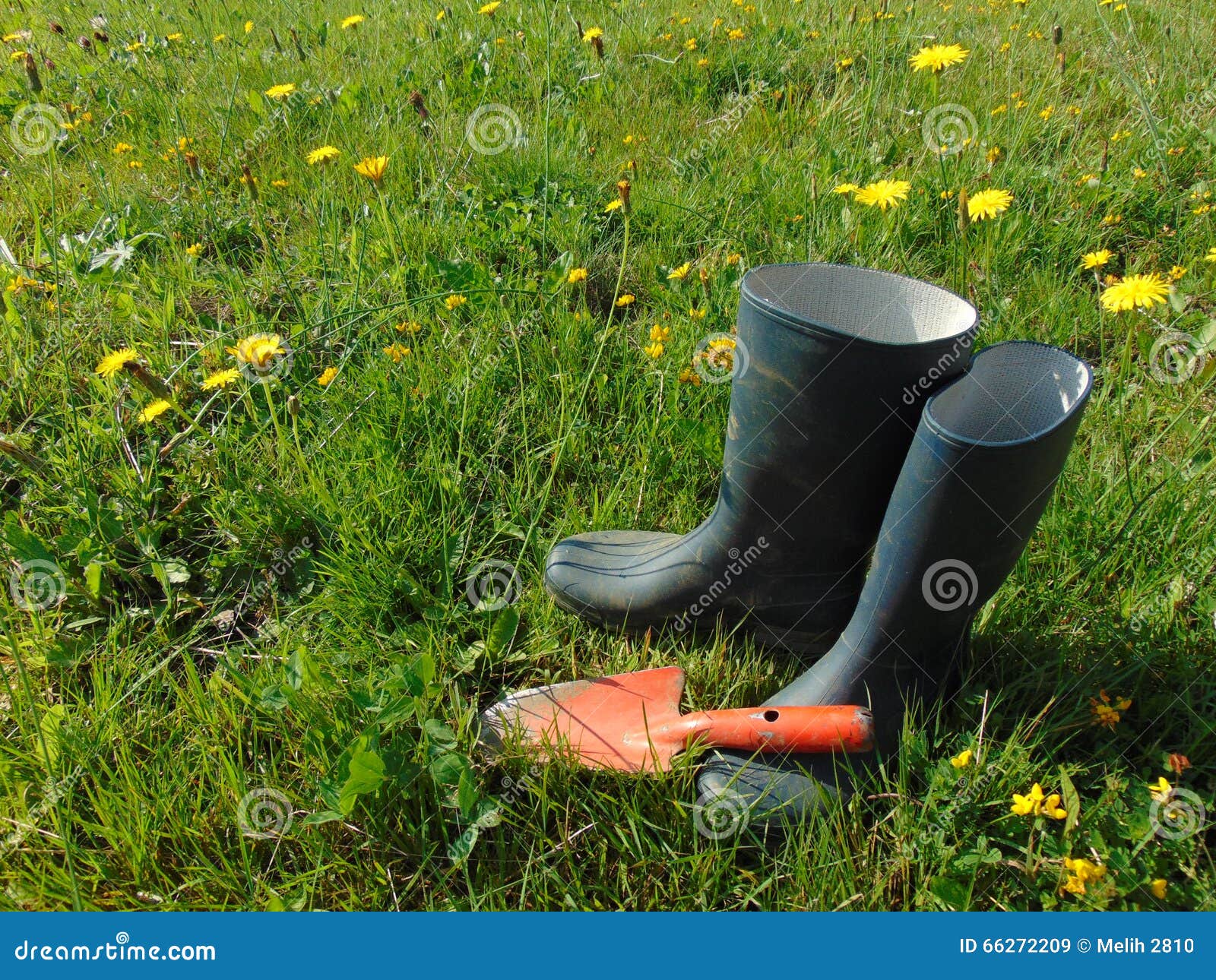 Gartenarbeit/Gummistiefel Im Gras Stockbild Bild von funktion, grün