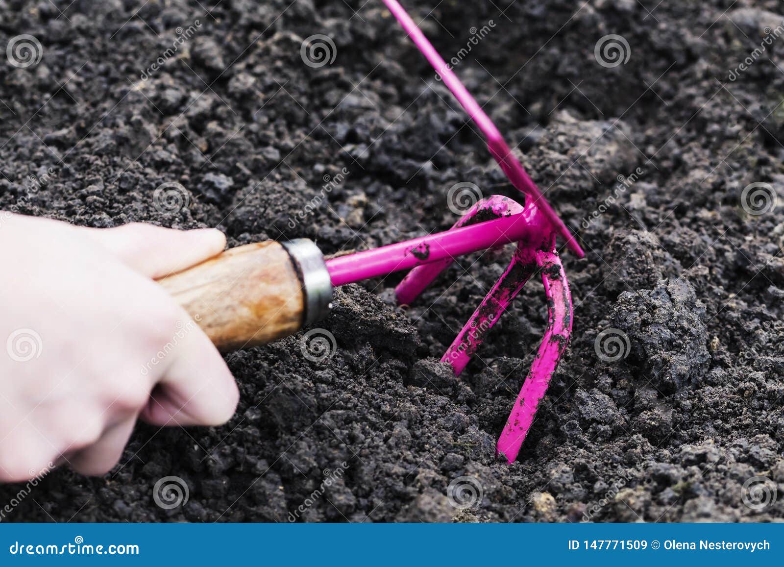 Gartenarbeit-Werkzeuge in der Hand auf Boden-Hintergrund Fr?hlingsgarten bearbeitet Konzept