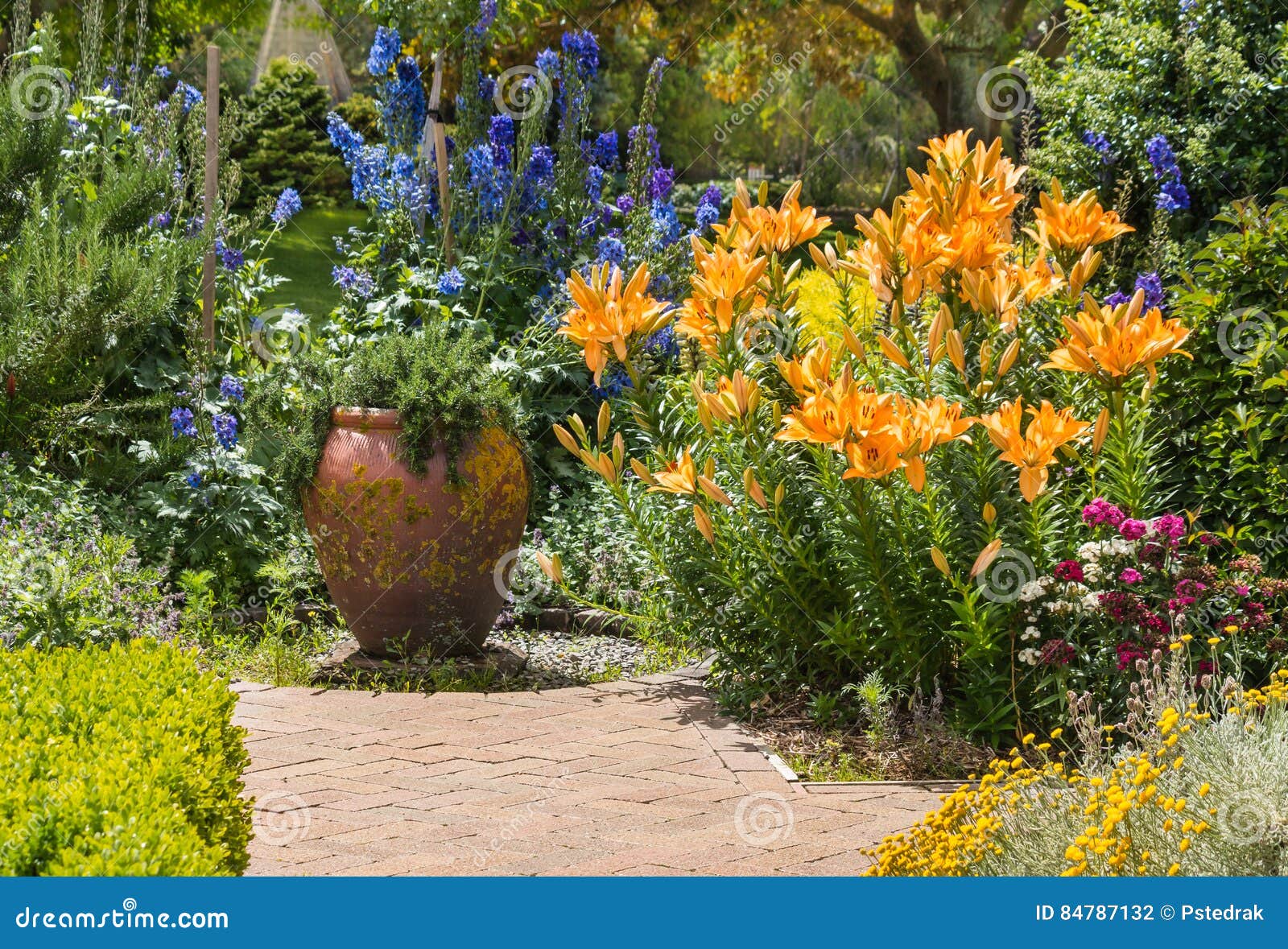 Gartenblumen in Der Blüte Im Englischen Garten Stockfoto Bild von