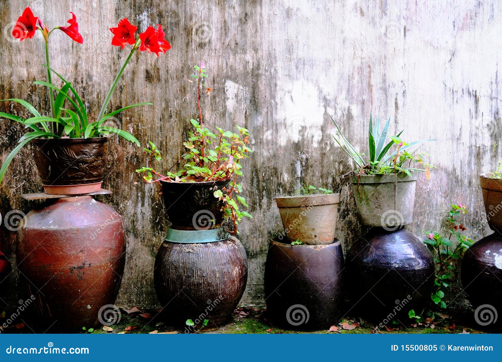 Gartenflowerpots und -anlagen auf einer Terrasse außerhalb eines Hauses