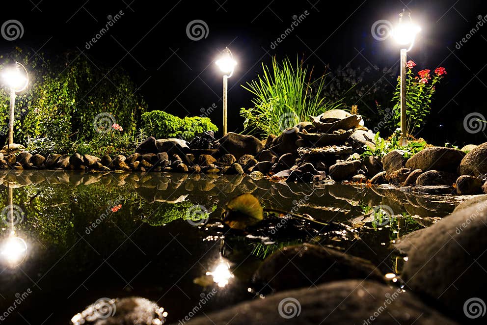 Gartenteich Nachts Beleuchtete Seeufer in Einer Nacht Gartenfischteich