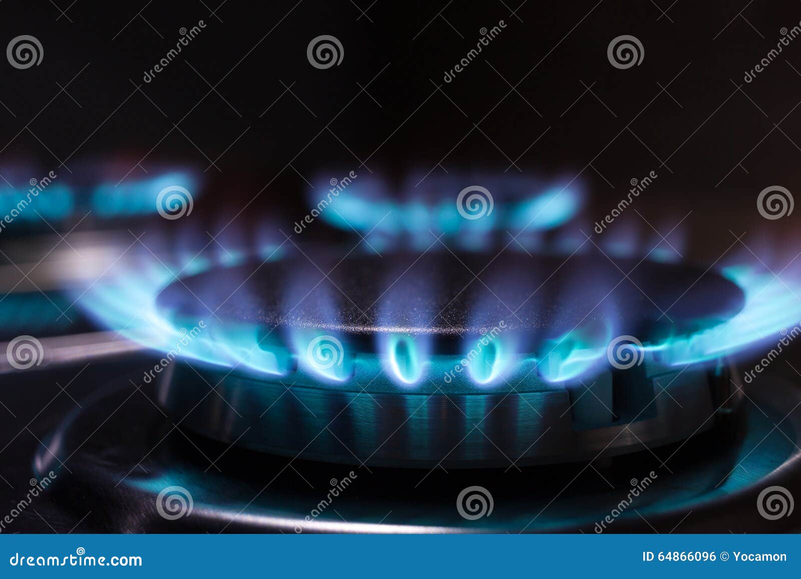Gas Burner Flame at Gas Stove Stock Photo Image of power, natural