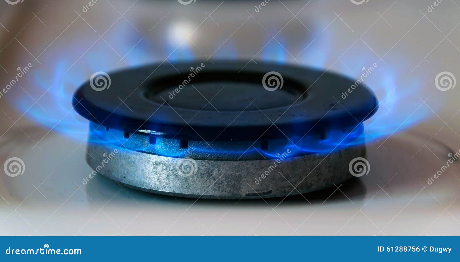 Gas burning stock photo. Image of energy, danger, blaze 61288756