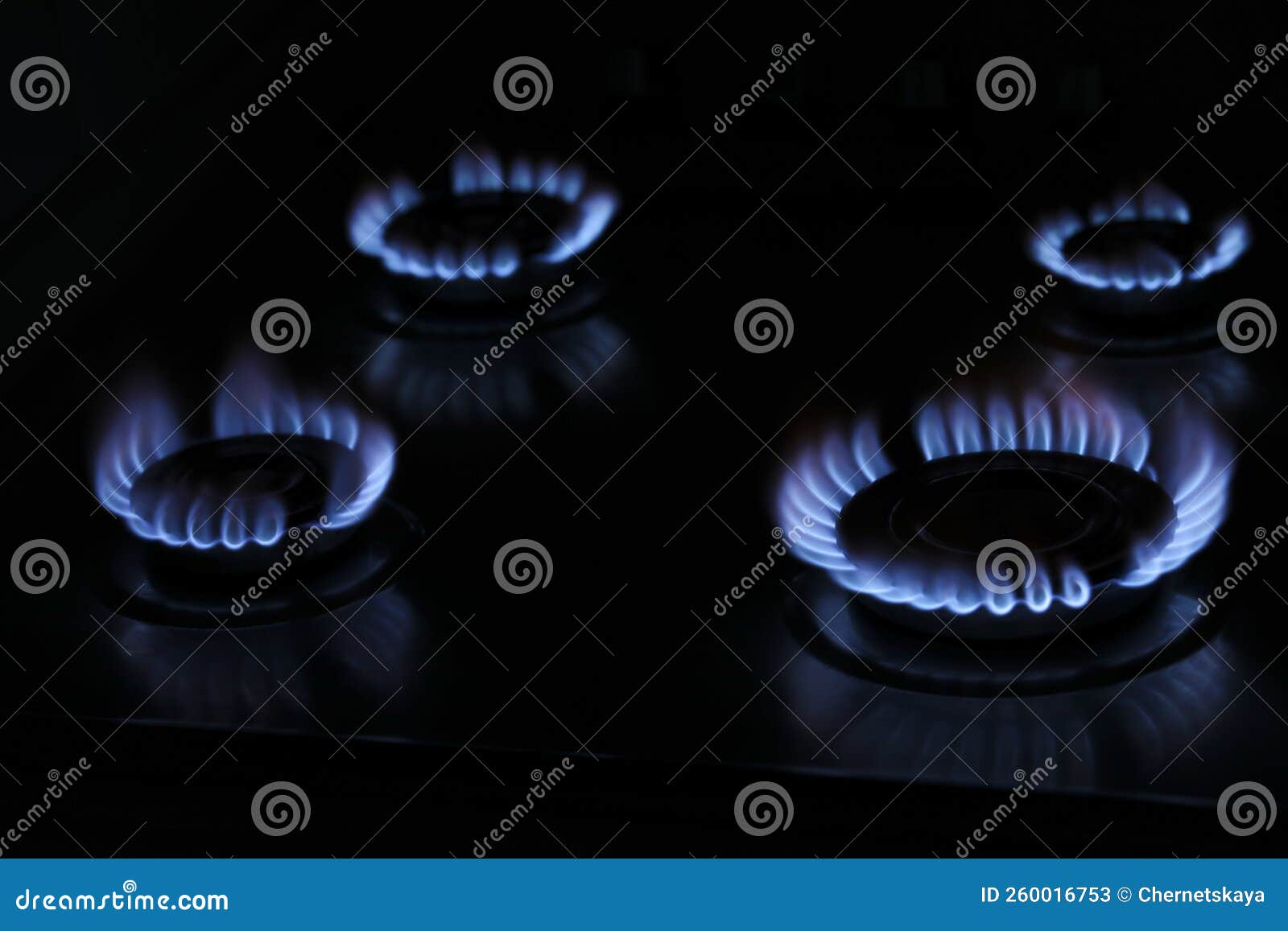 Gas Cooktop with Burning Blue Flames in Darkness Stock Image Image of