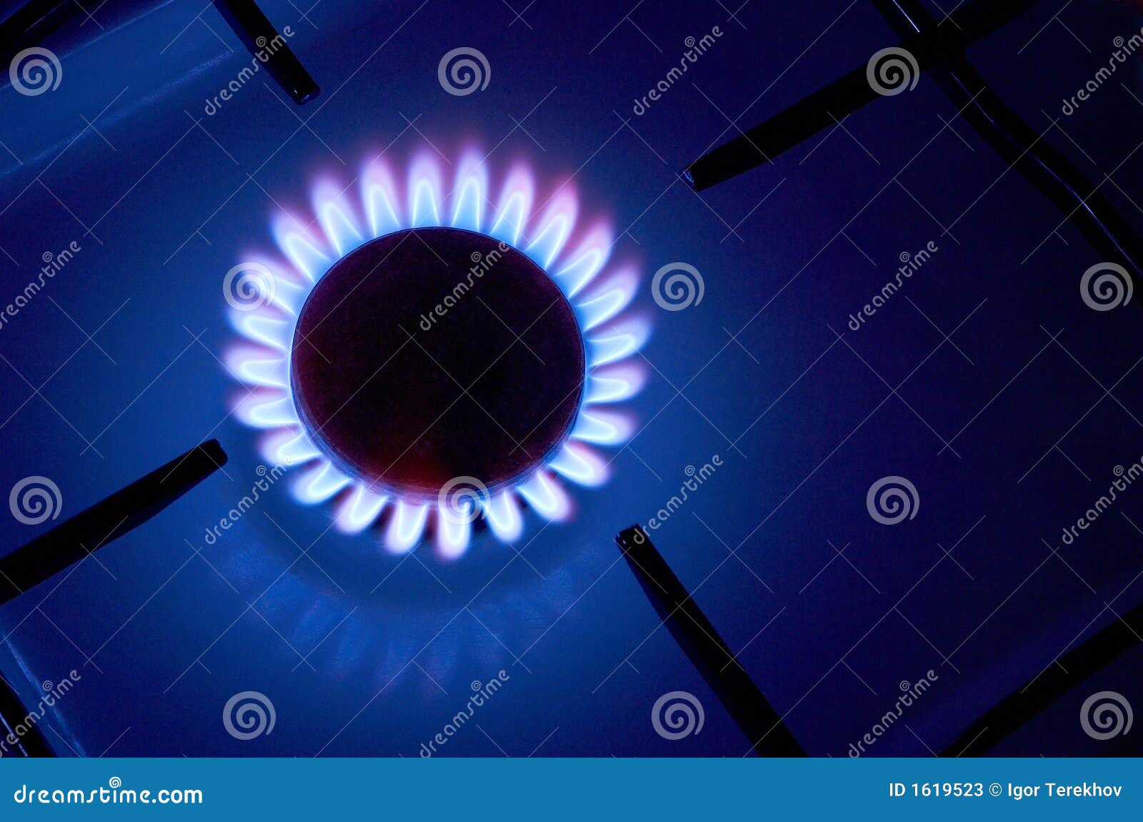 Gas fire. Gas cooker with burning fire