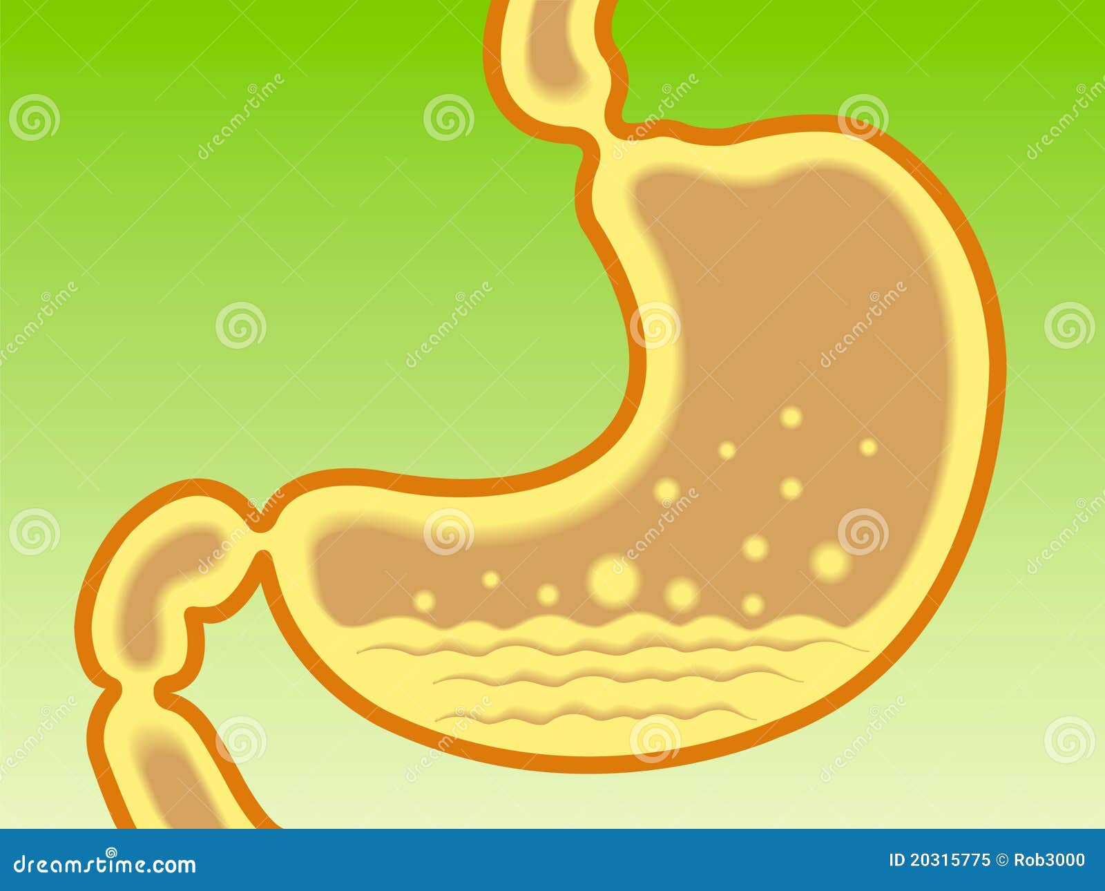 Gastric Acidity Stock Illustrations – 450 Gastric Acidity Stock Illustrations, Vectors & Clipart - Dreamstime Gastric Acidity Stock Illustrations – 450 Gastric Acidity Stock Illustrations, Vectors & Clipart - Dreamstime