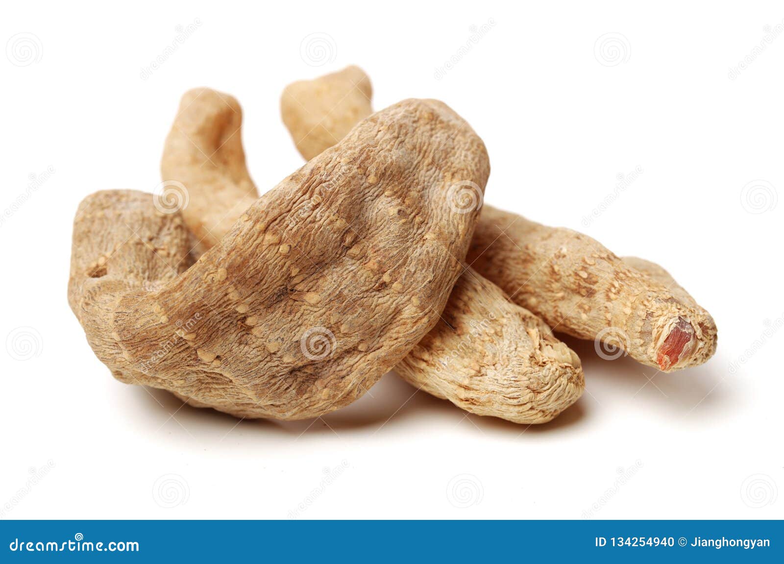 Gastrodiaelata stockfoto. Bild von schwindlig, alternative 134254940