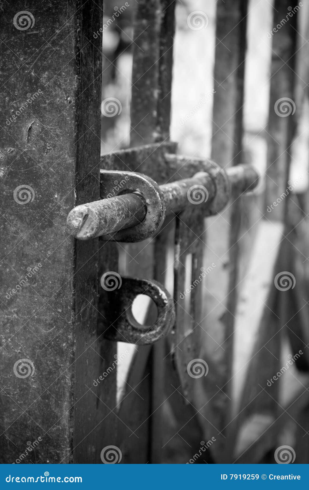 Gate stock image. Image of black, security, yard, white - 7919259