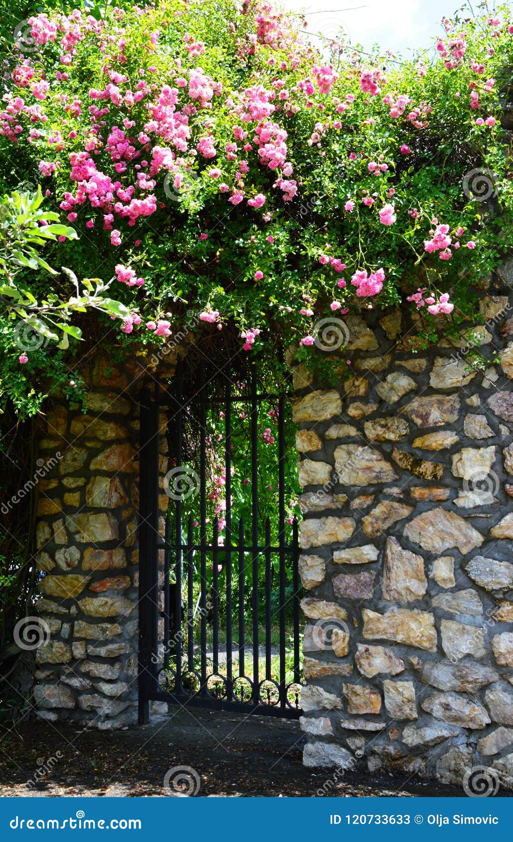 Gates in flowers stock image. Image of flowers, plant 120733633