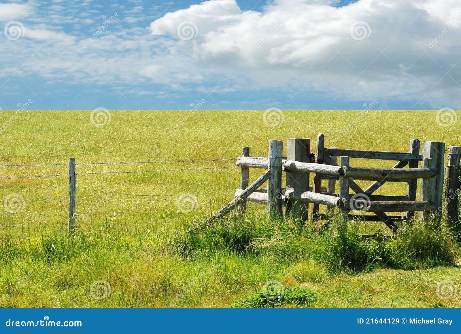 Gate with green meadow stock image. Image of meadow, scenery 21644129