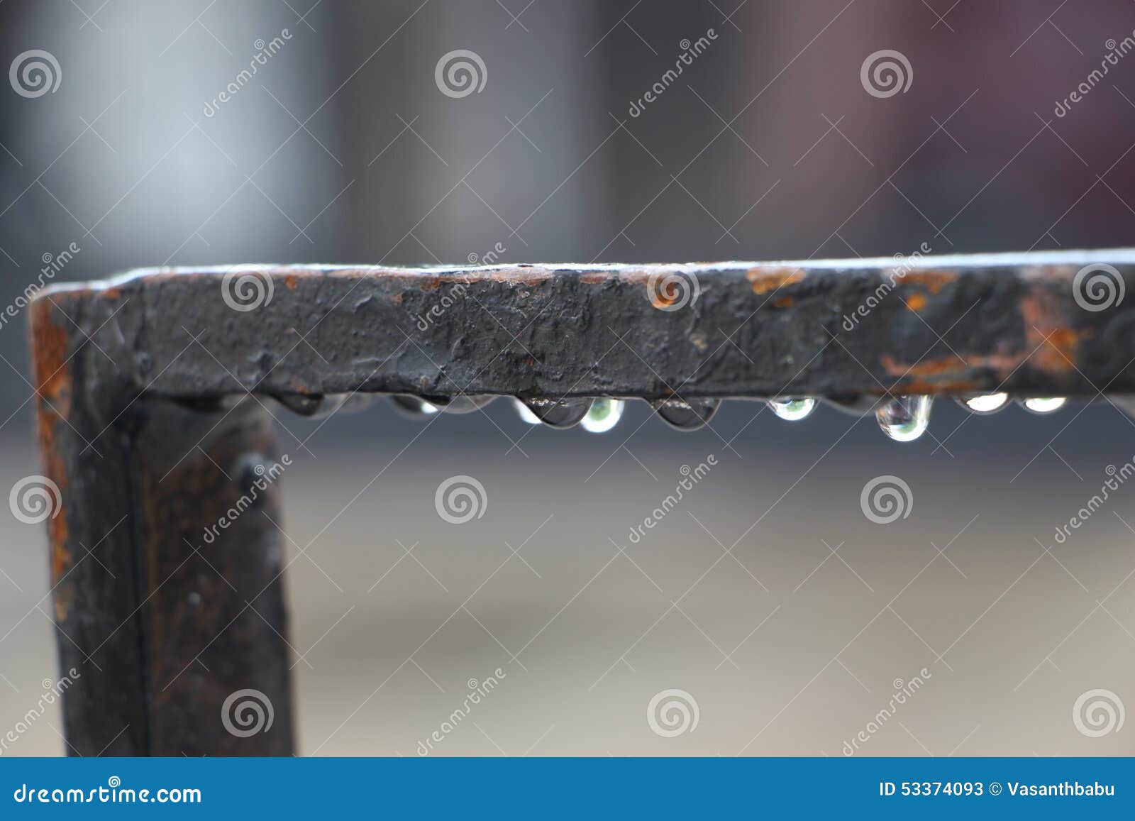 The gate with rainy drops stock image. Image of rainy 53374093