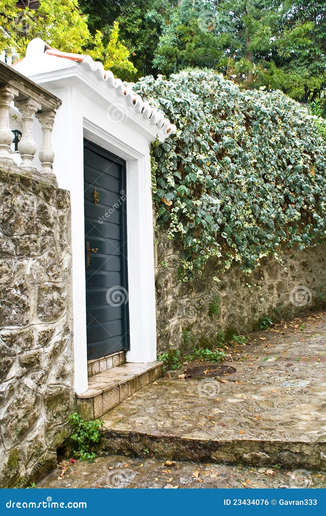 Gate and Stone Wall with Plant Stock Photo Image of architecture, doorway 23434076
