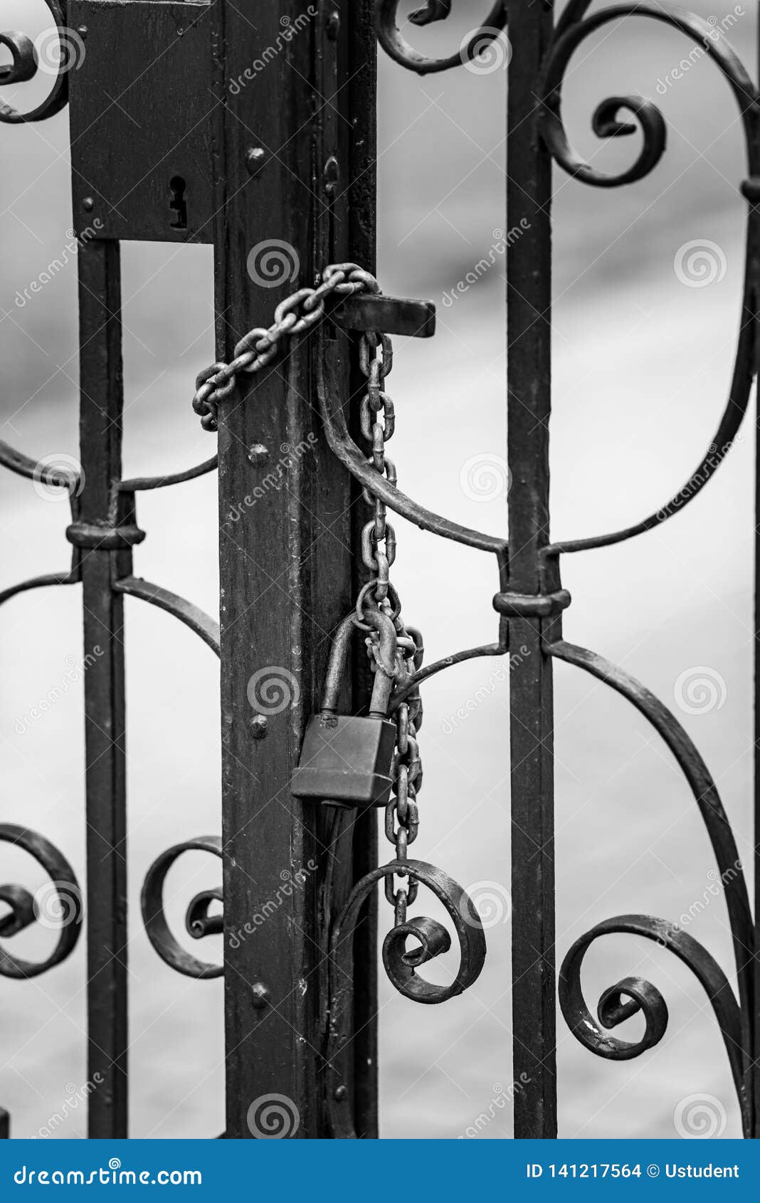 Gate To the Lock with a Chain Stock Photo - Image of steel, chain ...