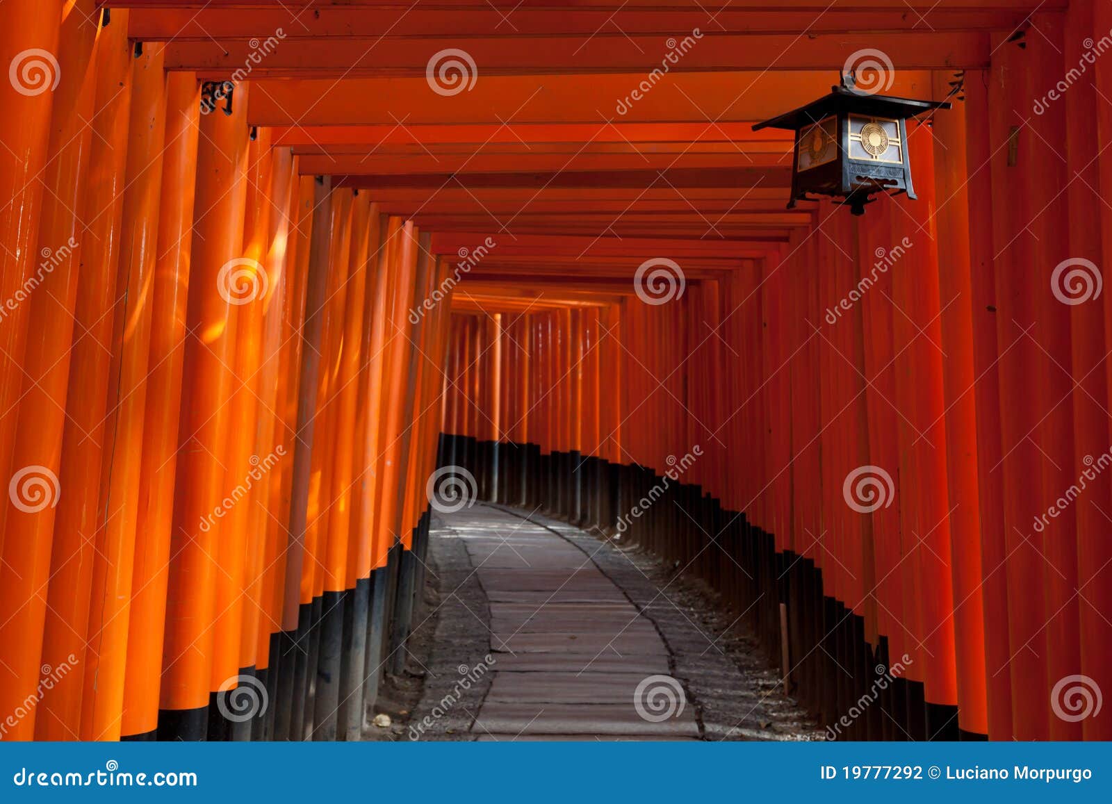 gate tunnel at fushimi inari shrine - kyoto, japan