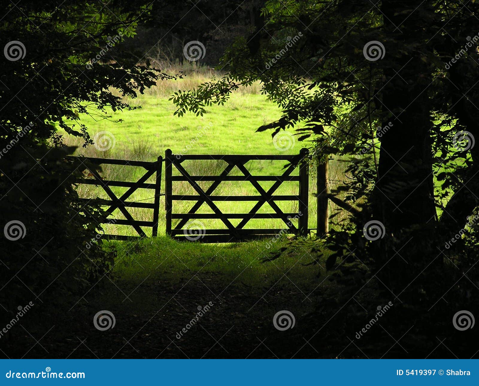 Gateway out of the woods stock image. Image of five, meadow 5419397