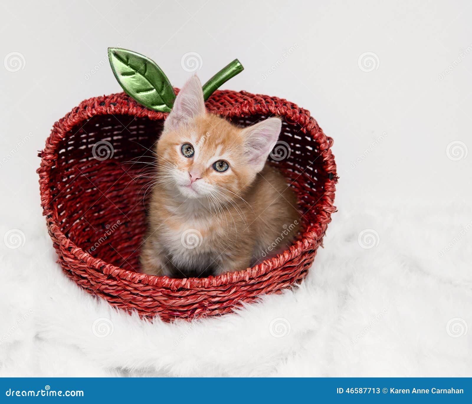Um pequeno gatinho vermelho olha para fora de uma cesta de vime