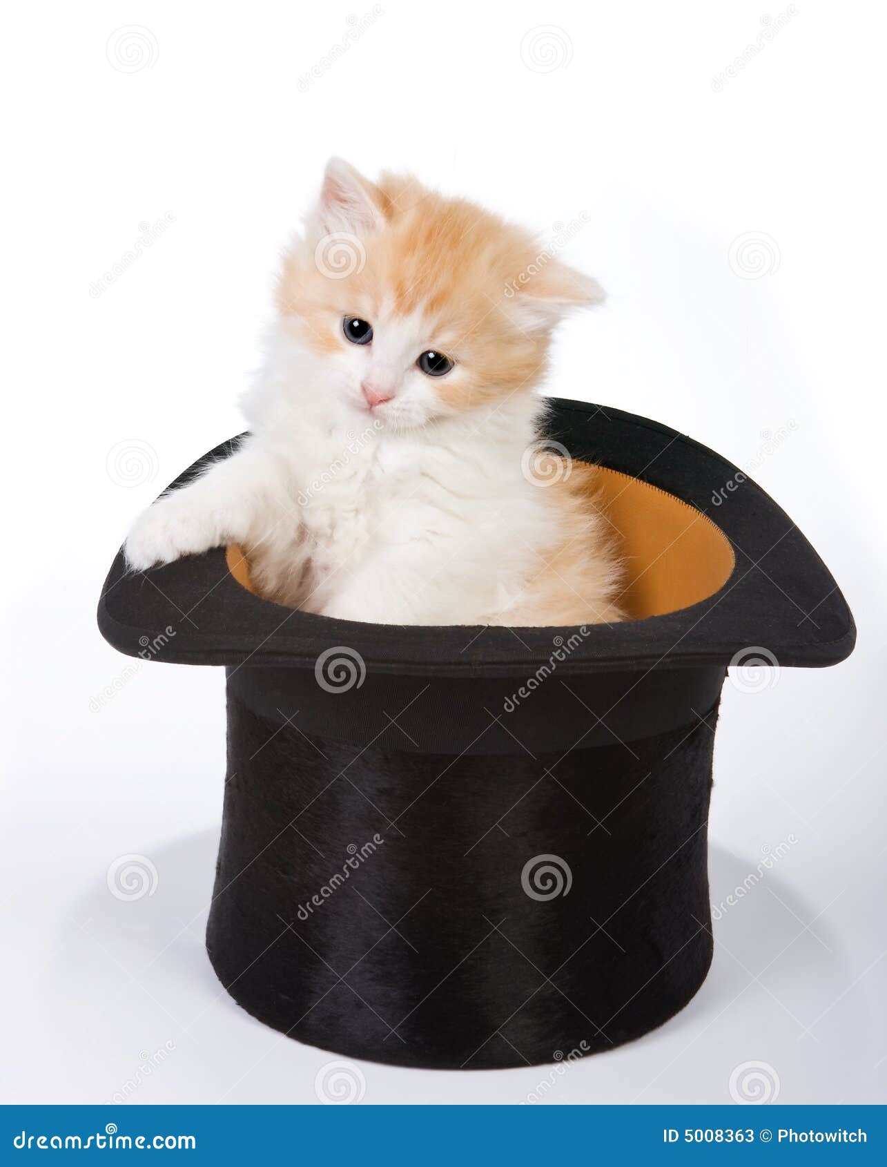 Gatinho mágico imagem de stock. Imagem de nave, isolado - 5008363