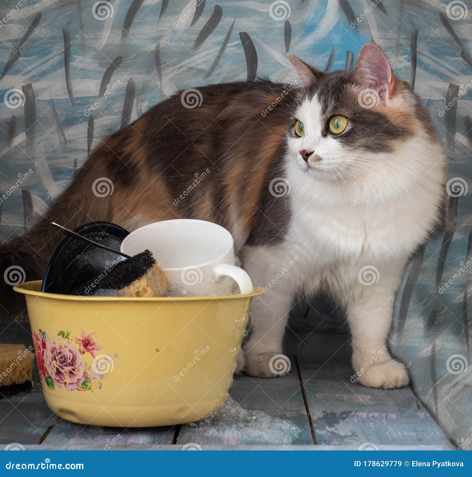 Gatito Suavizado Trepó a La Mesa. Sobre La Mesa Hay Una Taza Con