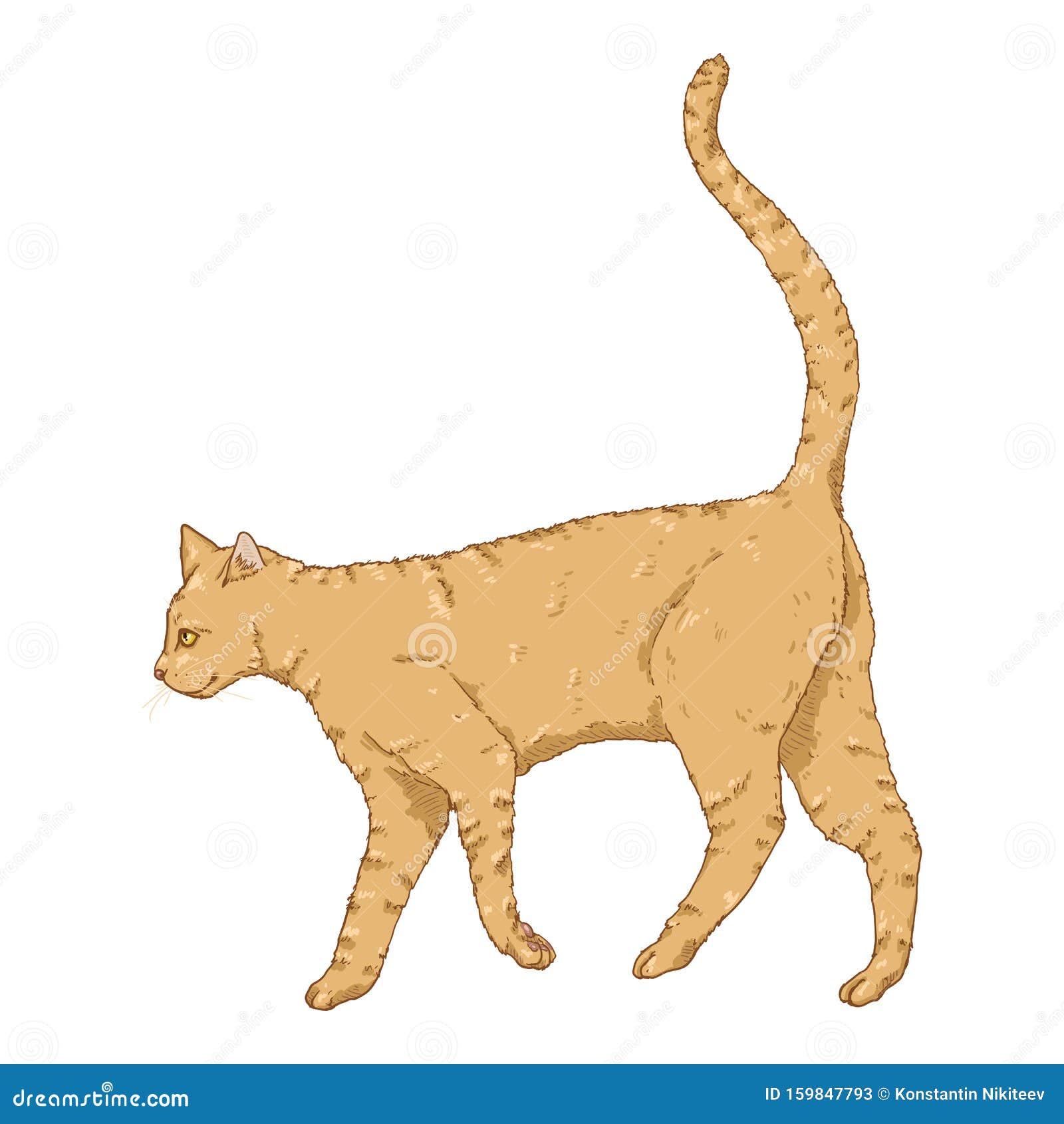 Gato gatinho andando dos desenhos animad, Premium Vector #Freepik  #vector #carater #desenho-animado #animal #gato