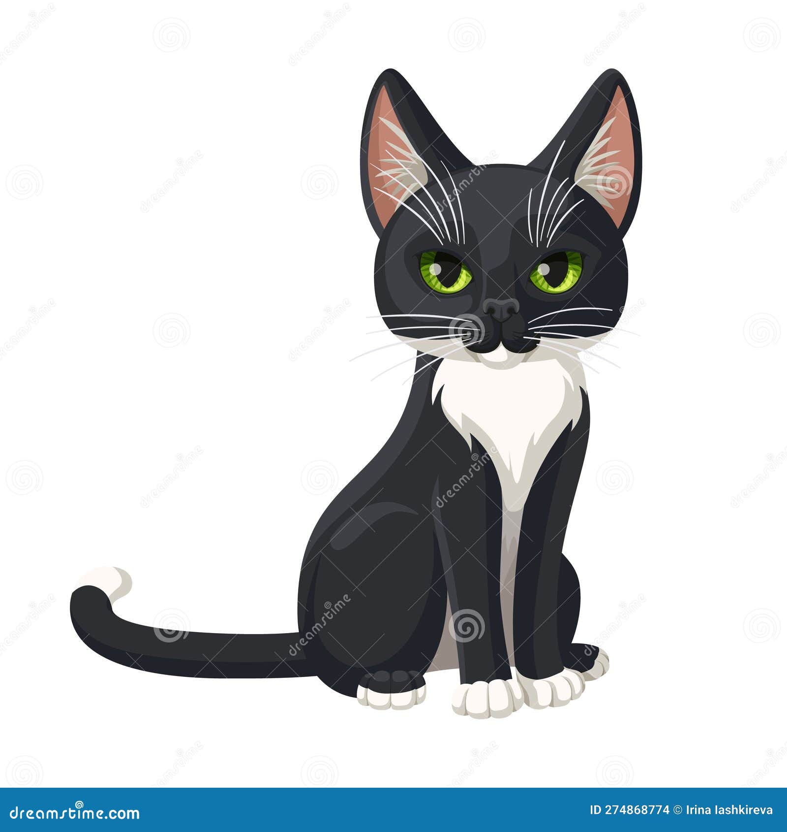 Gato negro y blanco dibujo