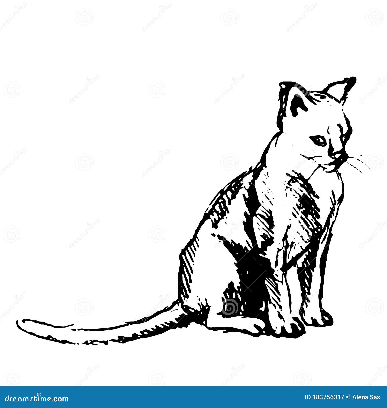 Desenho Simples E Mínimo Da Tinta Do Gato Dois Gatos De Assento No Traditio  Ilustração do Vetor - Ilustração de japonês, contorno: 113311446
