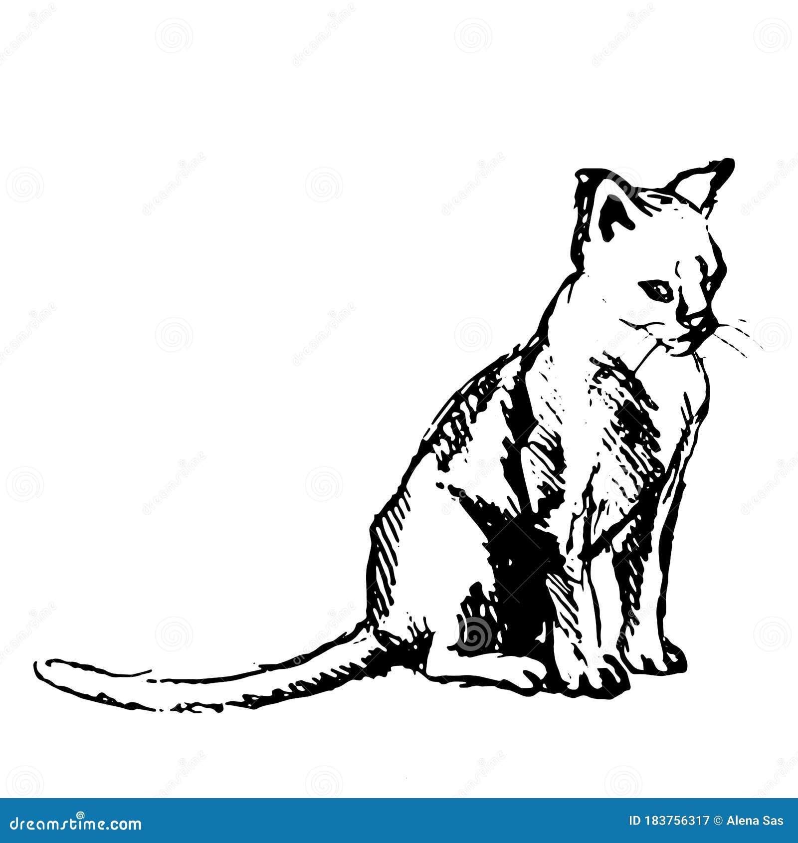 Ilustração Realista Do Desenho Vetorial Do Gato De Estimação Fofo