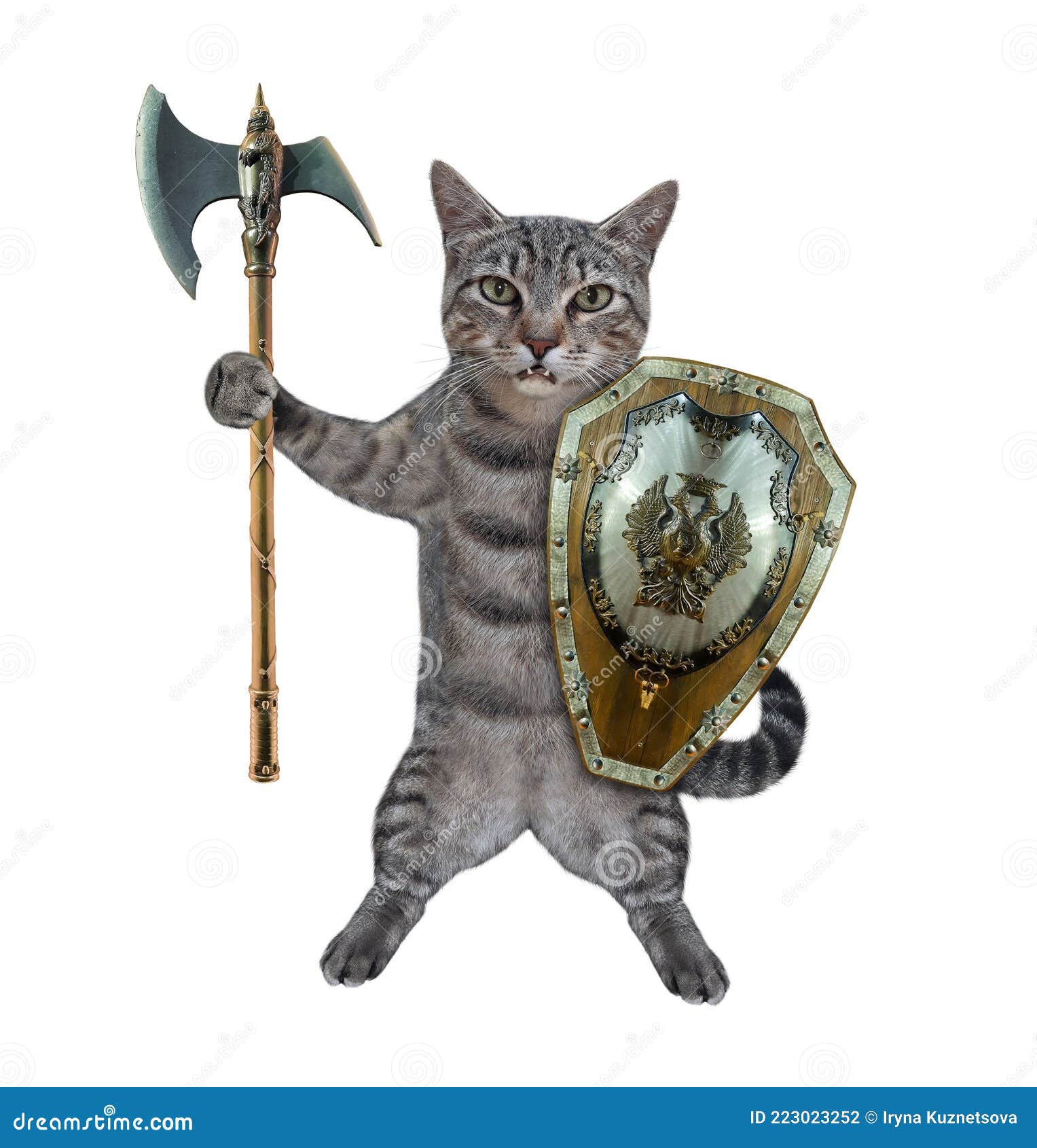 Um gato com uma espada e um escudo