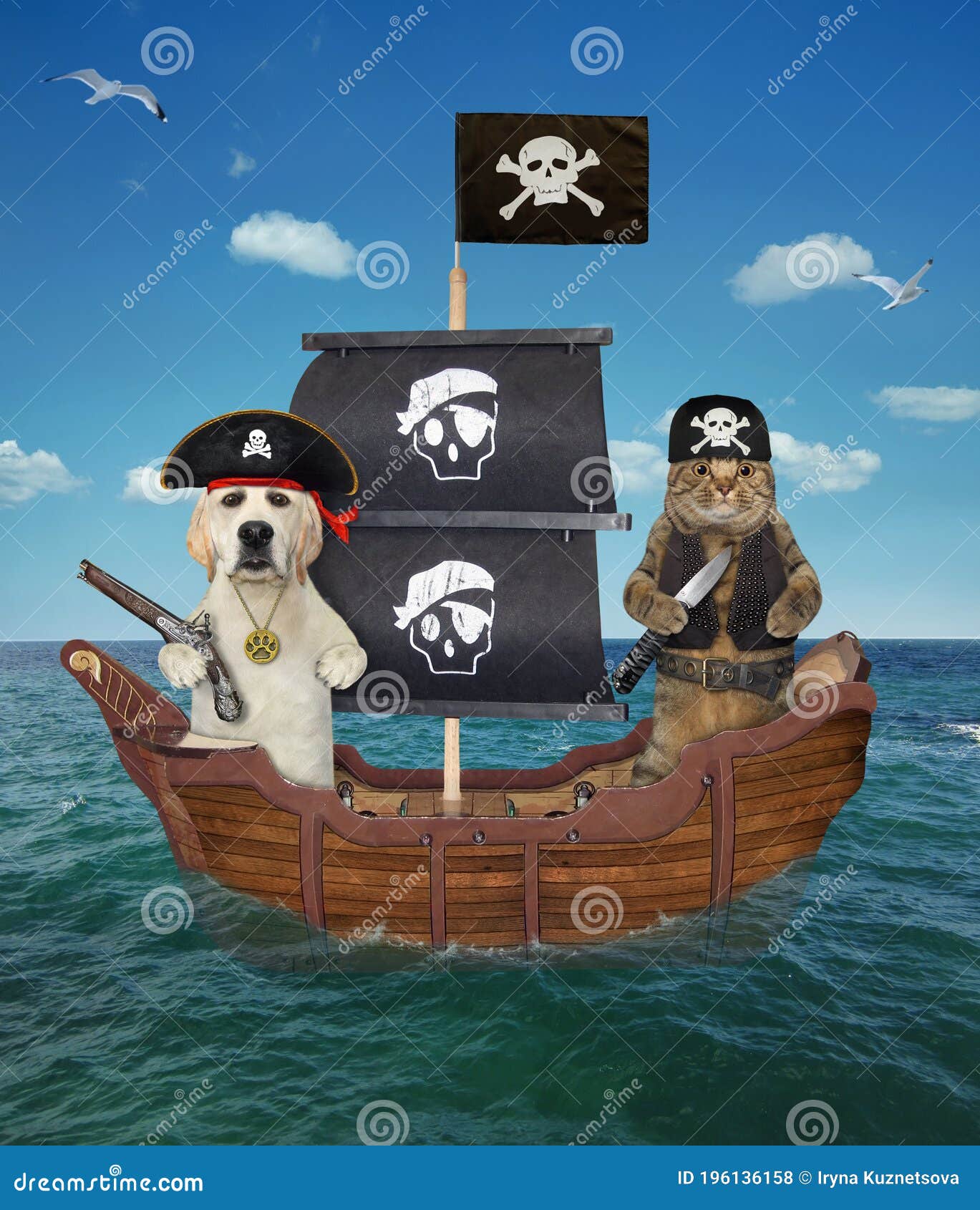 Navegando pelos mares da imaginação, gato e navio pirata
