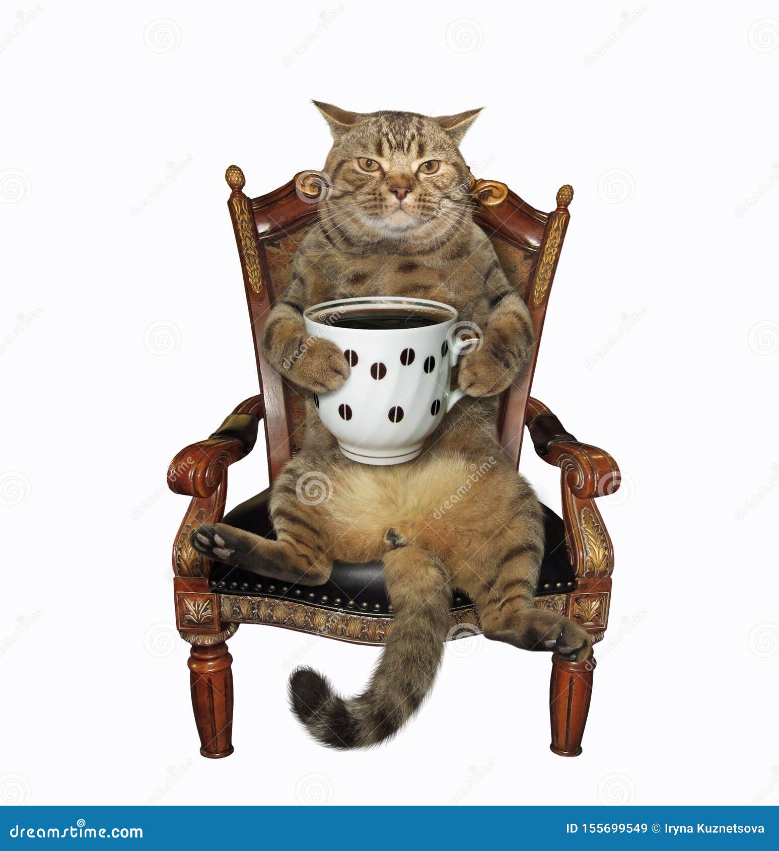 Um Gato Fofo Com Uma Cara Insatisfeita Engraçada Sentado Na Sala De Jogos  No Meio Do Conjunto De Construção Imagem de Stock - Imagem de pele, relaxe:  273463869