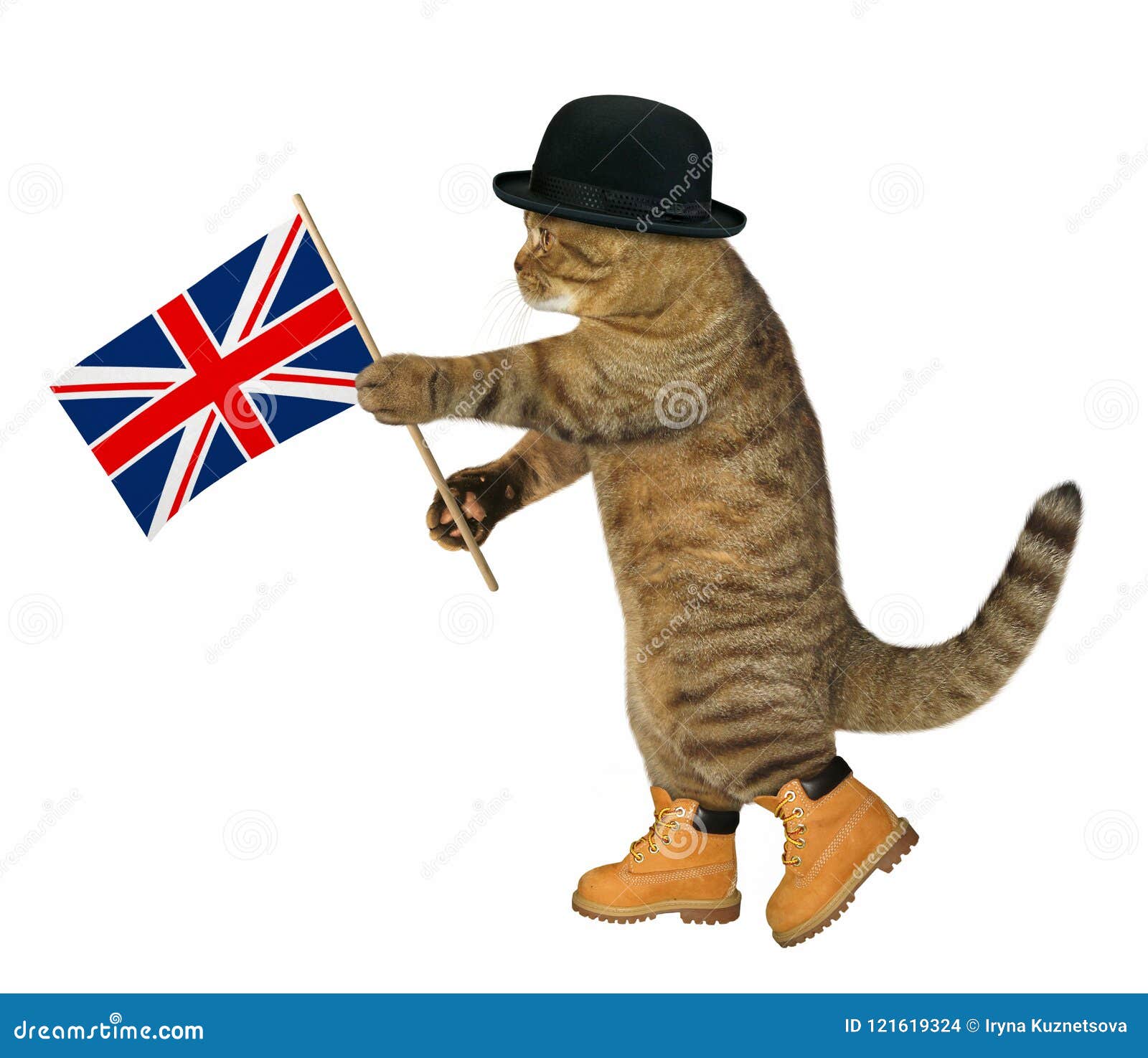 Gato Con La Bandera Inglesa Foto de archivo Imagen de libertad